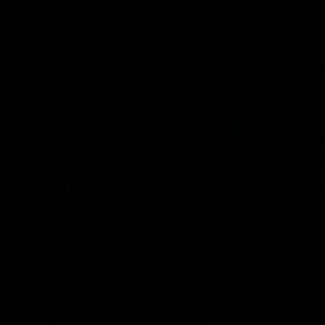 Meet your Posher, Paige